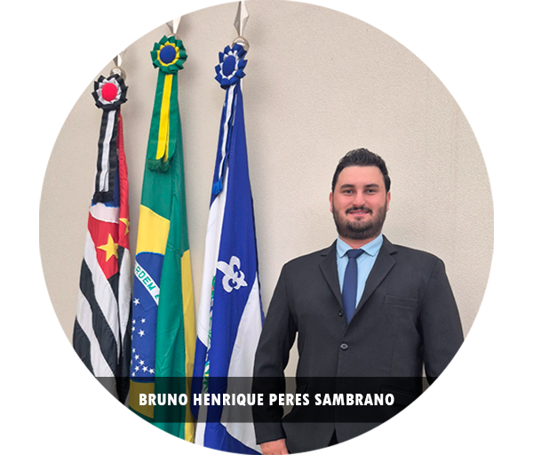 Bruno Henrique Peres Sambrano